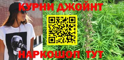 дмт Пушкино