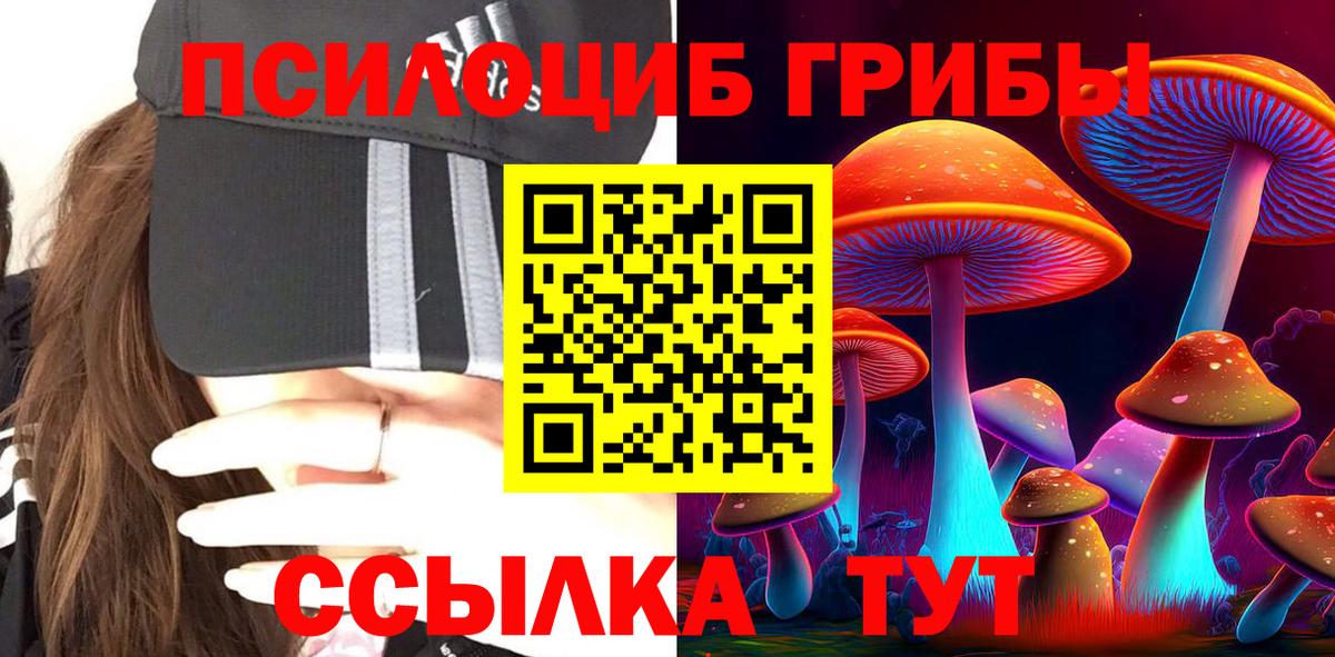 Псилоцибиновые грибы Psilocybine cubensis  Вход с VPN  Копейск 
